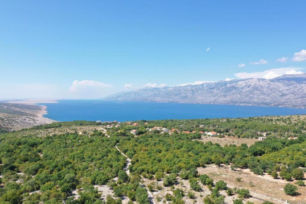 Apartments Slivnica Holiday Εξωτερικό φωτογραφία